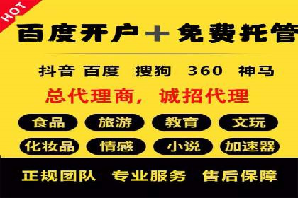 实战案例：SEM广告投放的优化策略
